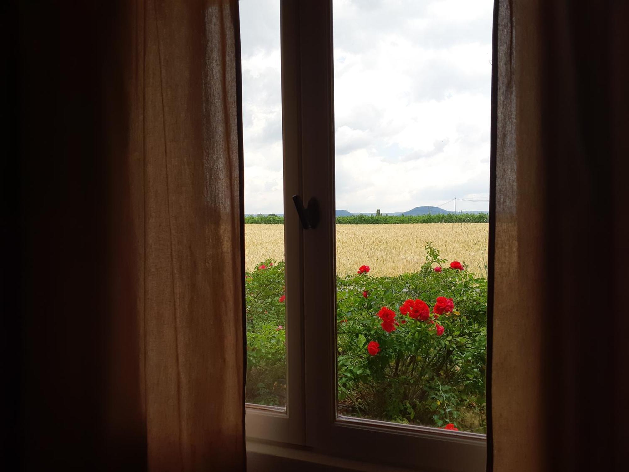 Chambres D'Hotes, B&B La Musardiere Alba-la-Romaine Dış mekan fotoğraf