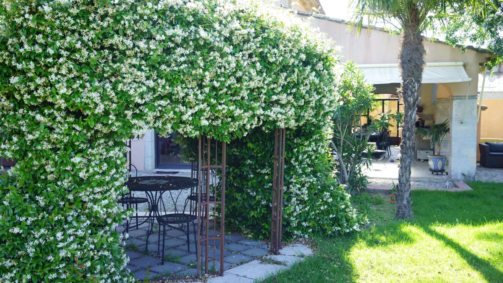 Chambres D'Hotes, B&B La Musardiere Alba-la-Romaine Dış mekan fotoğraf